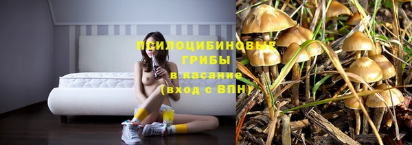 тгк Абдулино