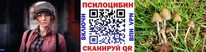 Галлюциногенные грибы Psilocybe  закладка  Красноармейск 