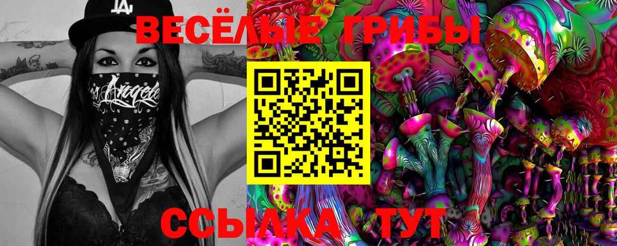 даркнет сайт  Псилоцибиновые грибы мухоморы  Вход с VPN  Красноармейск  Галлюциногенные грибы Psilocybine cubensis 