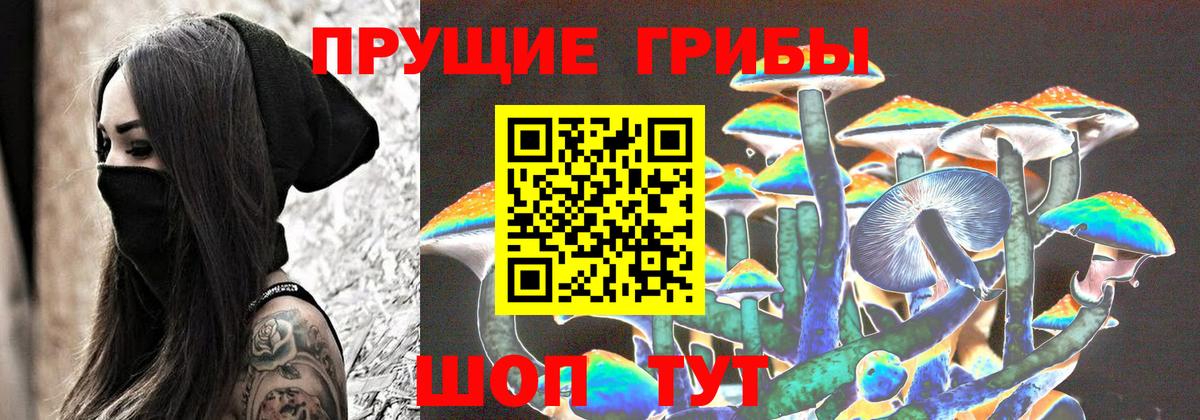 Галлюциногенные грибы Psilocybine cubensis Красноармейск
